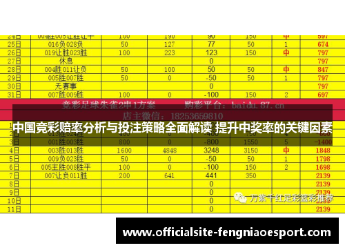 中国竞彩赔率分析与投注策略全面解读 提升中奖率的关键因素